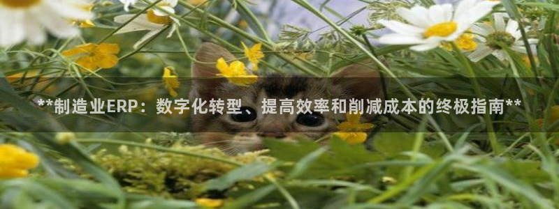 彩神8是正规平台吗知乎：**制造业ERP：数字化转型、提高效率和削减成本的终极指南**