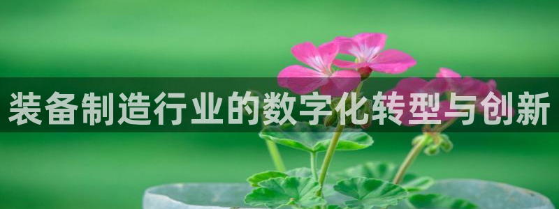 彩神v大众娱乐：装备制造行业的数字化转型与创新