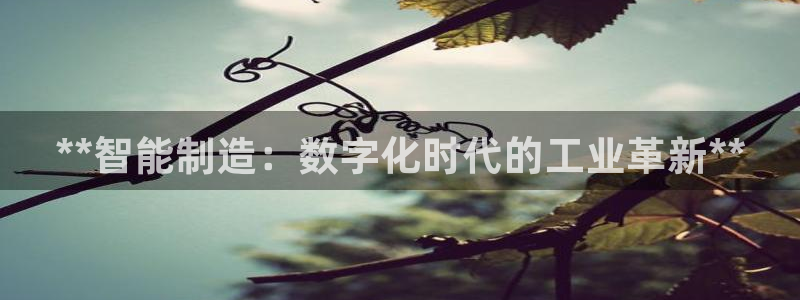 彩神通官方网：**智能制造：数字化时代的工业革新**