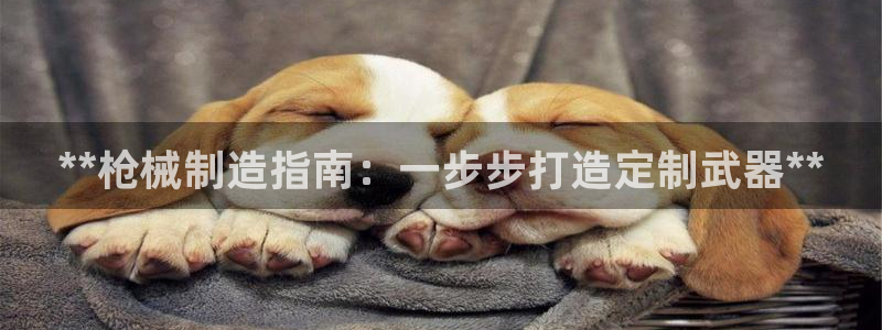 彩神VII官方版：**枪械制造指南：一步步打造定制武器**