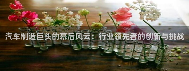 彩神Vii购彩-购彩大厅：汽车制造巨头的幕后风云：行业领先者