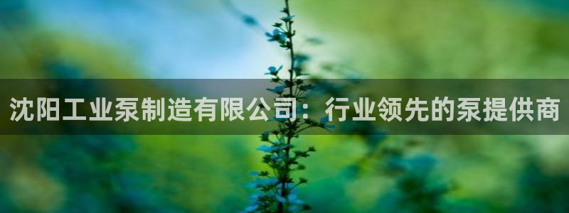 彩神8官网合法吗：沈阳工业泵制造有限公司：行业领先的泵提供商