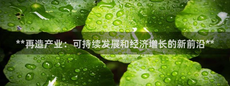 彩神大发官网：**再造产业：可持续发展和经济增长的新前沿**