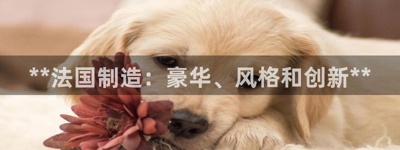 彩神大发如何观察走势：**法国制造：豪华、风格和创新**