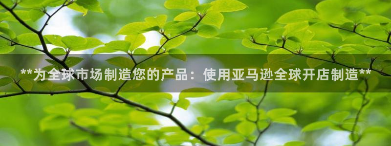 彩神邀请码:00-00-3267：**为全球市场制造您的产品：使用亚马逊全球开店制造**