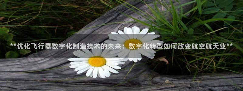 彩神VII购彩中心：**优化飞行器数字化制造技术的未来：数字化转型如何改变航空航天业**