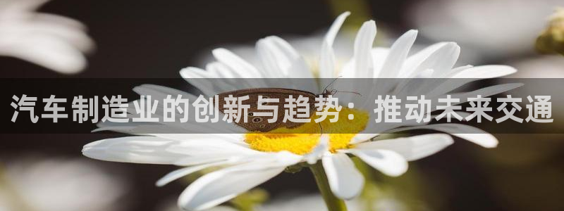 彩神是什么平台的游戏：汽车制造业的创新与趋势：推动未来交通