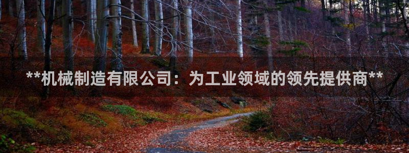 彩神平台之间是什么关系：**机械制造有限公司：为工业领域的领先提供商**