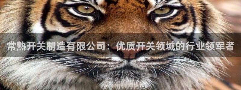 彩神V集团有限公司：常熟开关制造有限公司：优质开关领域的行业