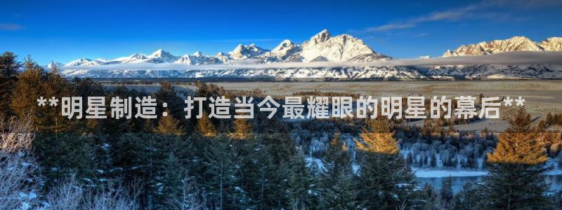 彩神v秘聊号码：**明星制造：打造当今最耀眼的明星的幕后**