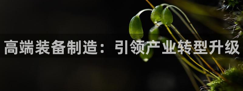 彩神网正规吗：高端装备制造：引领产业转型升级