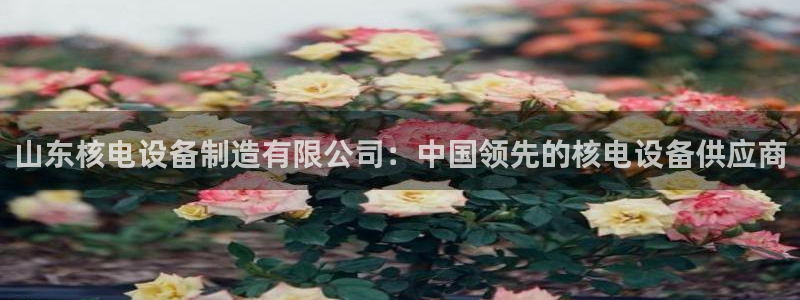 彩神赢的钱是哪里来的：山东核电设备制造有限公司：中国领先的核