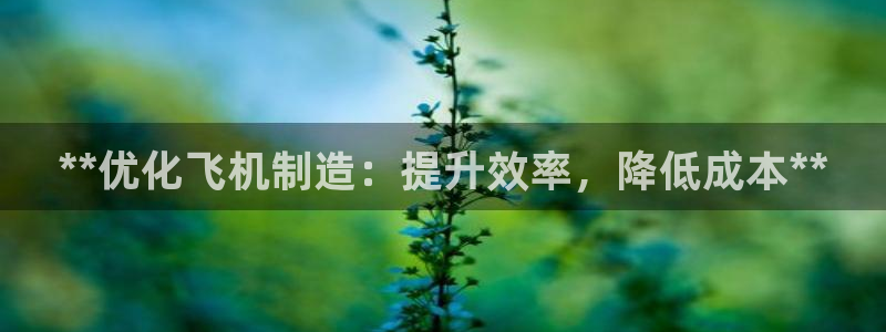 彩神网能赚钱是怎么回事：**优化飞机制造：提升效率，降低成本