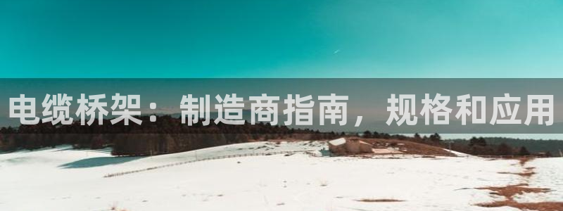 彩神数码科技有限公司
