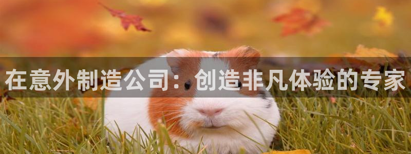 彩神v8几个版本：在意外制造公司：创造非凡体验的专家