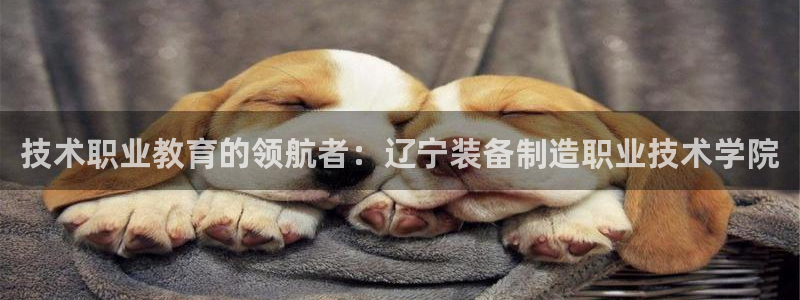 彩神ii官方网