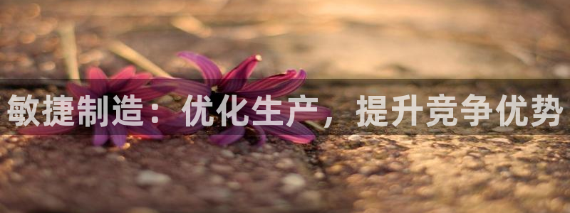 彩神v8手机客户端