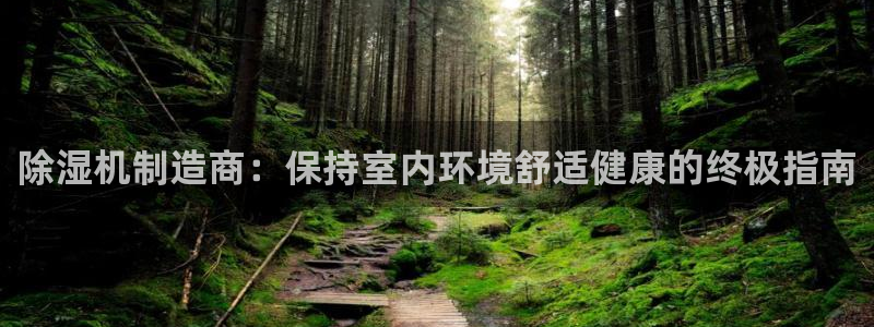 彩神ll能赚钱吗：除湿机制造商：保持室内环境舒适健康的终极指