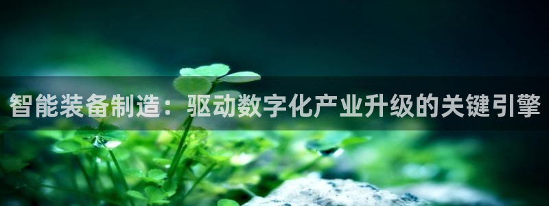 彩神8彩平台客服：智能装备制造：驱动数字化产业升级的关键引擎