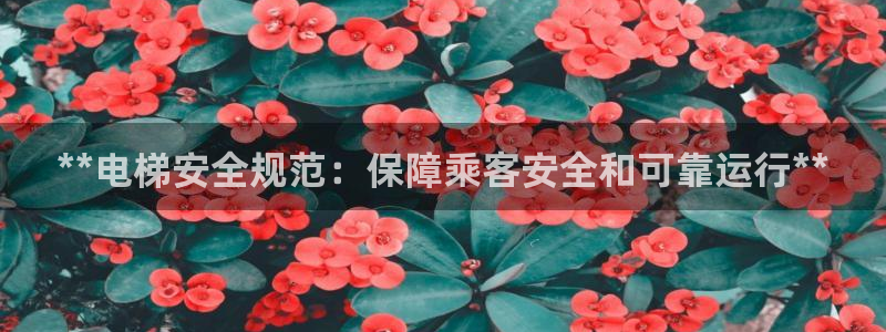 彩神v集团有限公司