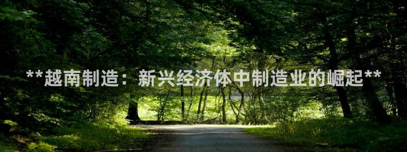 彩神官方登录：**越南制造：新兴经济体中制造业的崛起**