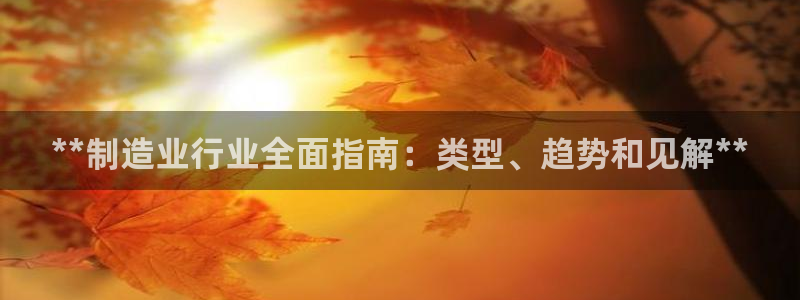 彩神v：**制造业行业全面指南：类型、趋势和见解**