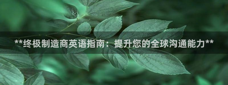 彩神v8几个版本：**终极制造商英语指南：提升您的全球沟通能力**
