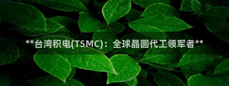 彩神赢的钱是哪里来的啊：**台湾积电(TSMC)：全球晶圆代工领军者**