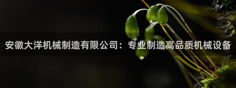 彩神8官网版：安徽大洋机械制造有限公司：专业制造高品质机械设