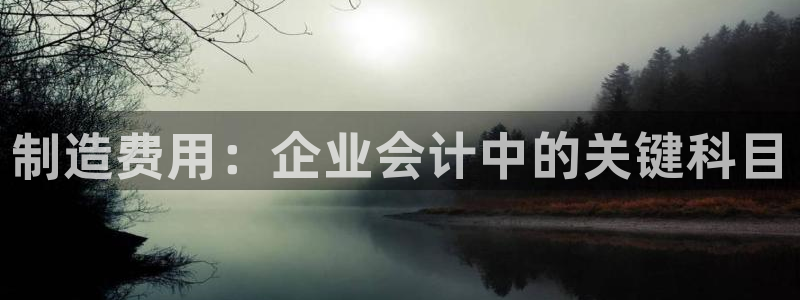 彩神v大众娱乐：制造费用：企业会计中的关键科目