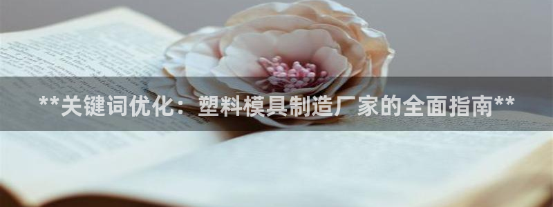 彩神v天天：**关键词优化：塑料模具制造厂家的全面指南**