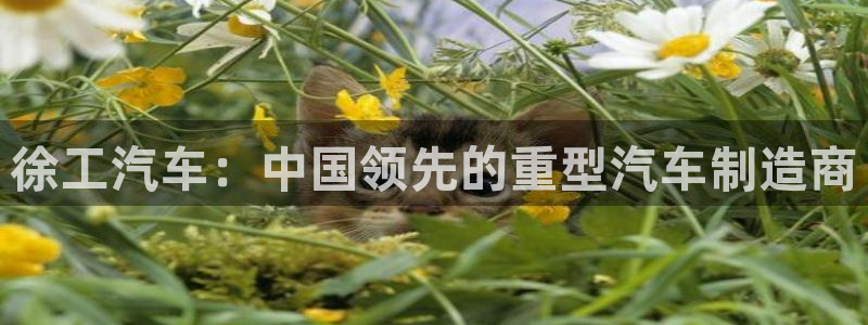 彩神8官网500：徐工汽车：中国领先的重型汽车制造商