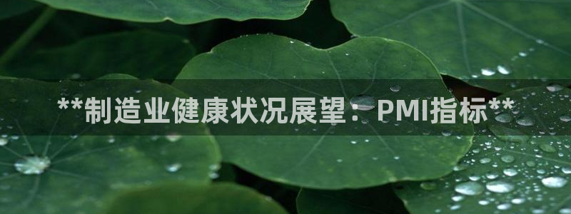 下载彩神乐发V：**制造业健康状况展望：PMI指标**
