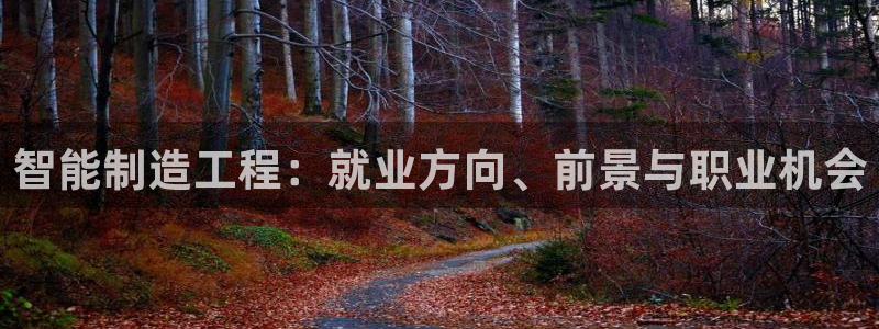 彩神vii官网：智能制造工程：就业方向、前景与职业机会