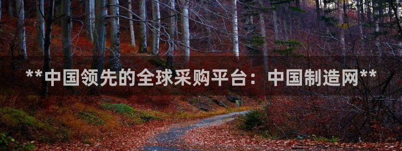 彩神购彩-购彩大厅入口下载：**中国领先的全球采购平台：中国制造网**
