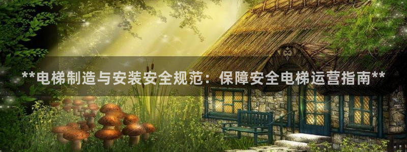 彩神赢的钱是哪里来的啊：**电梯制造与安装安全规范：保障安全电梯运营指南**