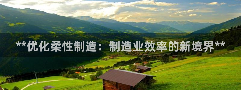 彩神通关注码金码对应码：**优化柔性制造：制造业效率的新境界**
