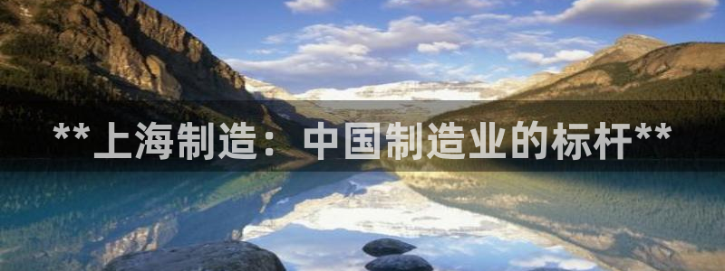彩神vi官网版：**上海制造：中国制造业的标杆**