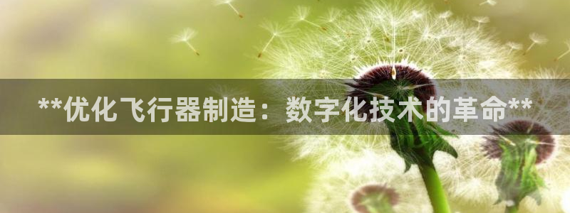 所有彩神购买首页：**优化飞行器制造：数字化技术的革命**