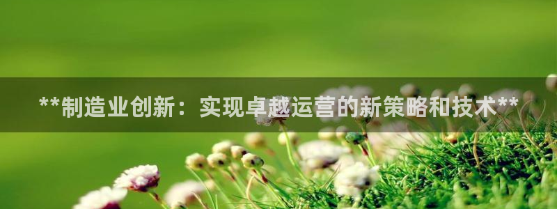 彩神viii下载安卓：**制造业创新：实现卓越运营的新策略和技术**