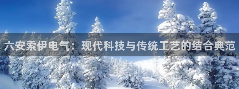 彩神平台：六安索伊电气：现代科技与传统工艺的结合典范