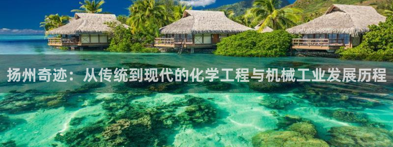彩神v平台：扬州奇迹：从传统到现代的化学工程与机械工业发展历程
