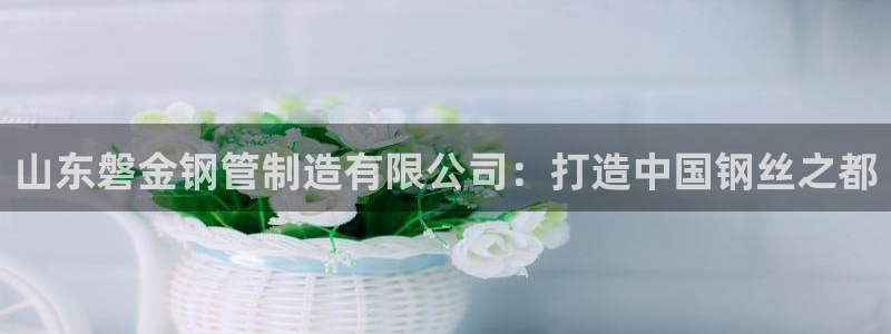 彩神v集团有限公司：山东磐金钢管制造有限公司：打造中国钢丝之都