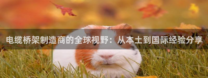 彩神趣购彩用户注册：电缆桥架制造商的全球视野：从本土到国际经验分享