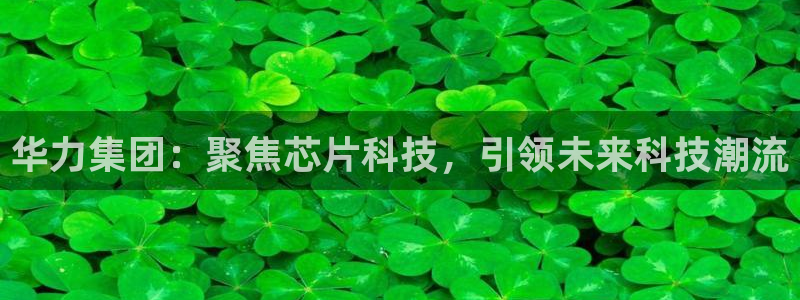 彩神xapp官方网站：华力集团：聚焦芯片科技，引领未来科技潮流