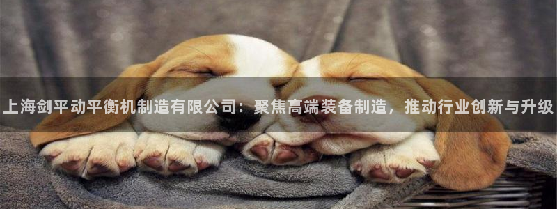 彩神大发云：上海剑平动平衡机制造有限公司：聚焦高端装备制造，推动行业创新与升级