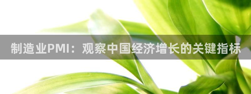 彩神是正规平台吗知乎：制造业PMI：观察中国经济增长的关键指标