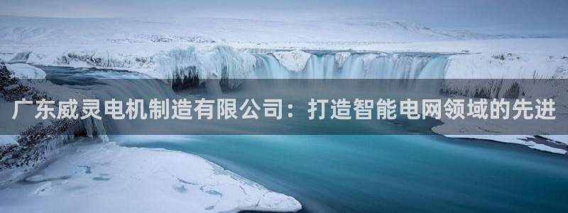 下载彩神通关注码：广东威灵电机制造有限公司：打造智能电网领域的先进