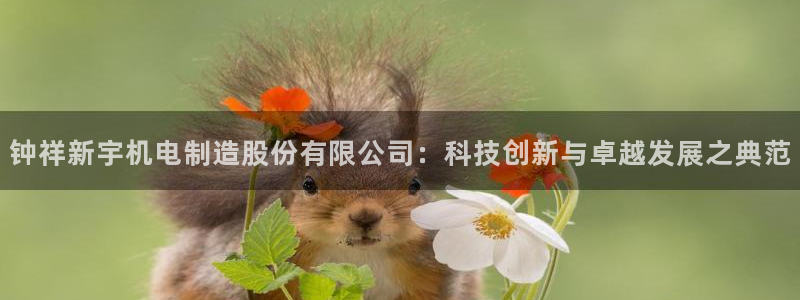彩神v8官网版：钟祥新宇机电制造股份有限公司：科技创新与卓越发展之典范