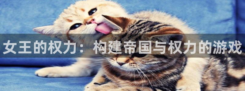 彩神数码科技有限公司：女王的权力：构建帝国与权力的游戏